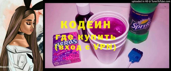мдпв Елизово