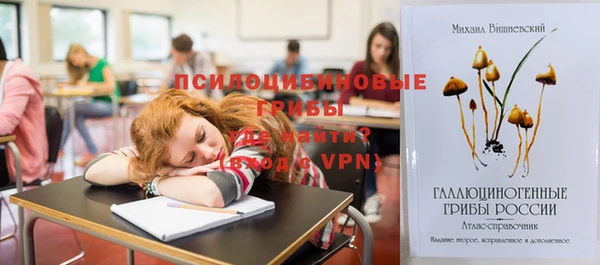 прущие крисы Ельня