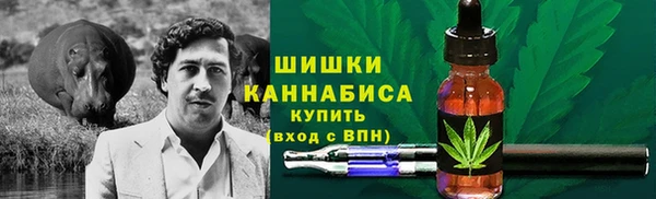 прущие крисы Ельня