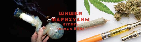 мдпв Елизово