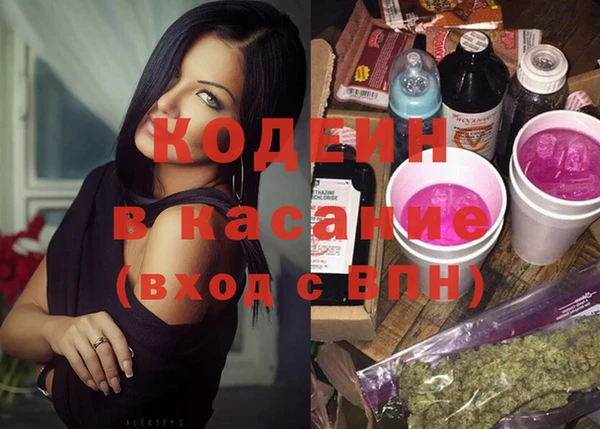мдпв Елизово