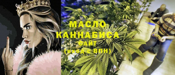 прущие крисы Ельня