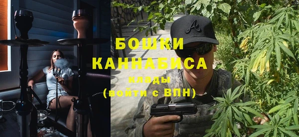 прущие крисы Ельня