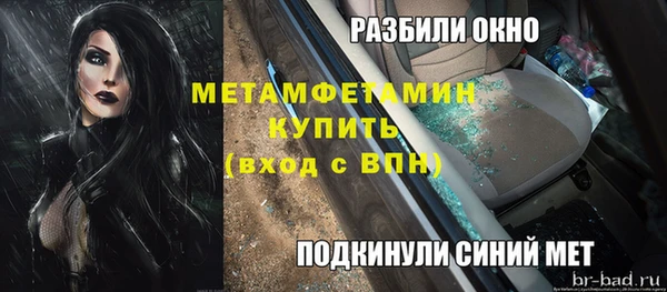 прущие крисы Ельня