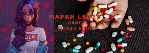 прущие крисы Ельня
