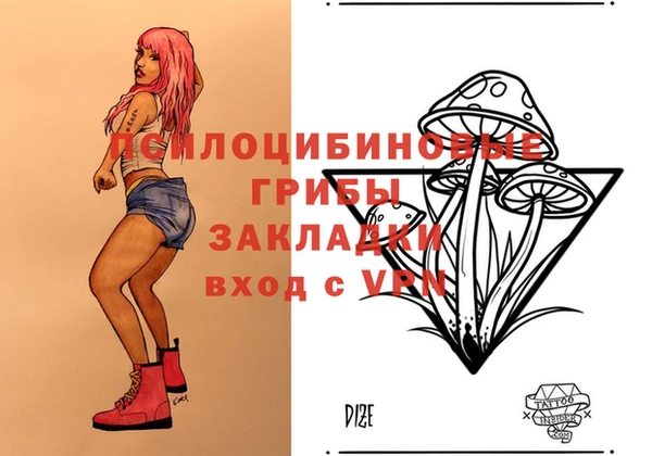 мдпв Елизово